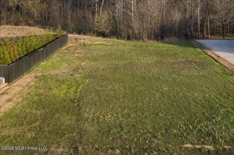 Olive Branch Land in Robinson