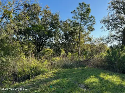 Wooded Lot Near Beach