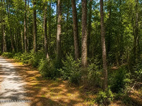 Commercial Land Tract Behind Shopping Center