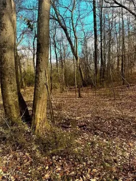 Acreage Development Land Opportunity