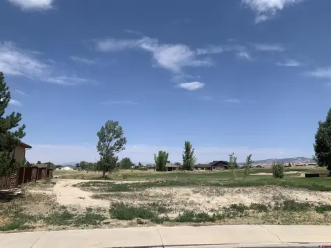 Residential Lot in Bridges Community