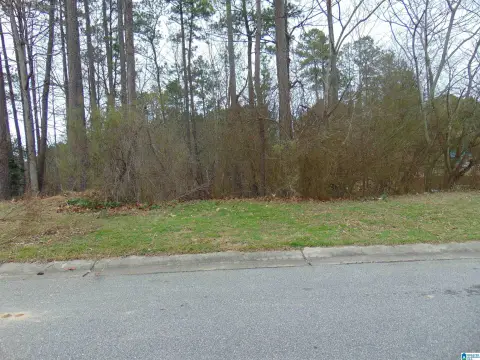 Land in Alabaster, Alabama