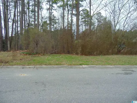 Residential Lot in Alabaster