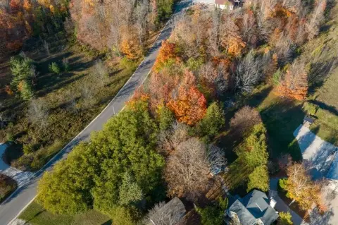 Wooded Lot Near Sister Bay