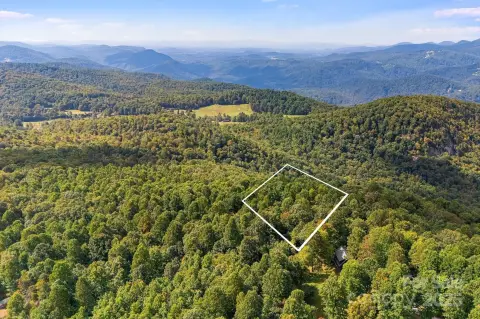 Wooded Lot in Black Mountain