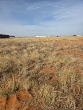 Raw Land in Seminole, TX