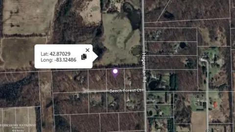 Addison Twp Wooded Lot