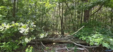 Unrestricted Acreage with Private Lake Access
