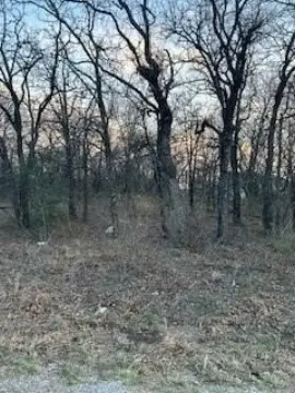 Runaway Bay Wooded Lot