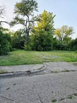 Commercial Vacant Lot in Dallas