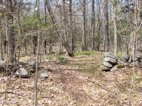 Land in Serene Sandisfield Setting