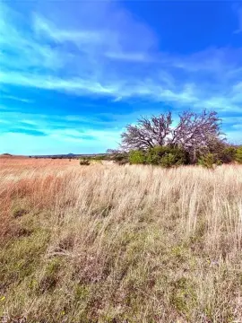Unimproved Land in Goldthwaite, TX