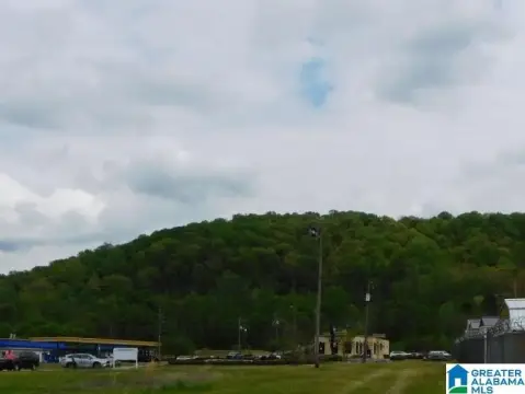 PELHAM Acreage For Sale