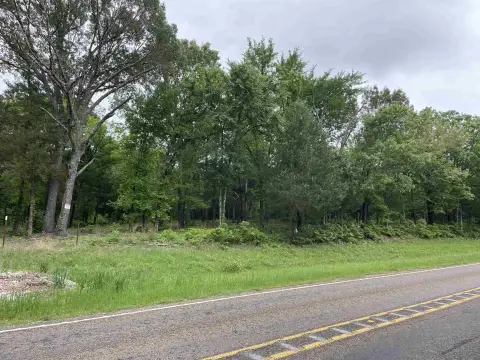 Undeveloped Land in Athens, Texas