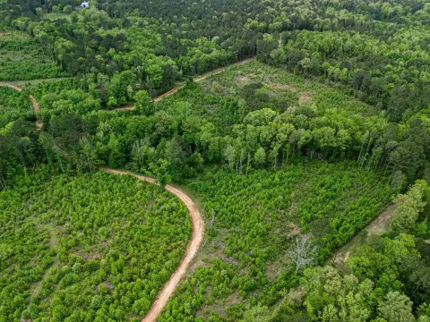 Recreation Land Tract with Pond