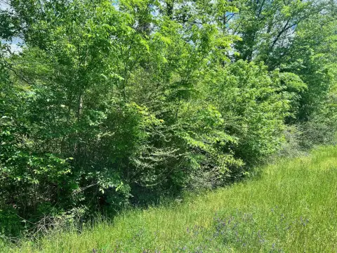 11.84 Acres on Highway 87