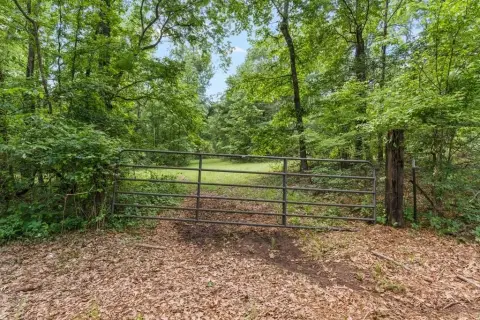 East Texas Acreage Near Caddo