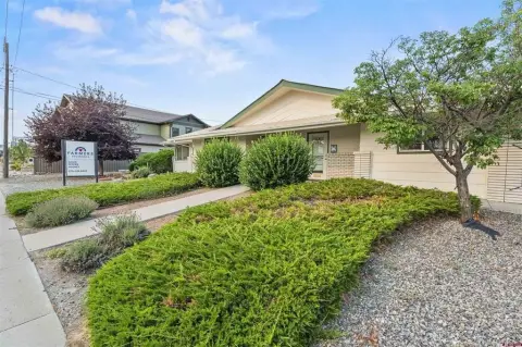 Downtown Montrose Commercial Building