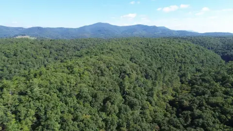 Wooded Land with Two Creeks