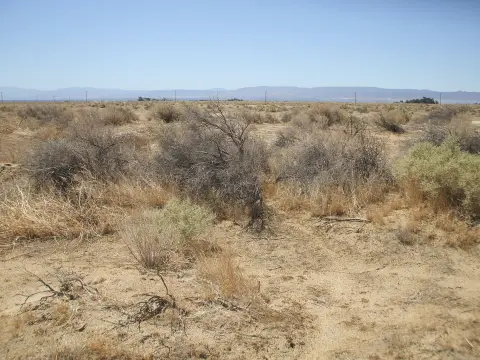 Del Sur Land Opportunity