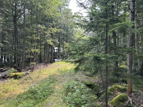 Wooded Residential Development Land