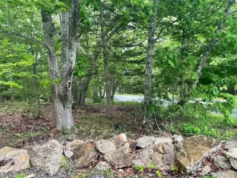 Level Residential Land Lot