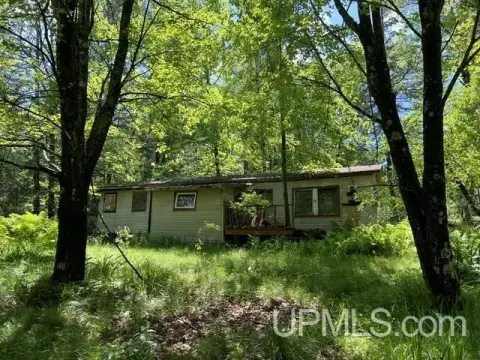 Wooded Hunting Land with Wetlands