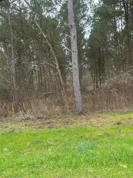 Ellisville Land in South Jones