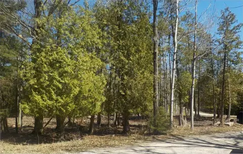 Wooded Lot Near Sturgeon Bay