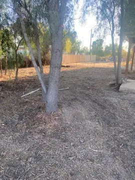 Mohave Valley Land For Sale