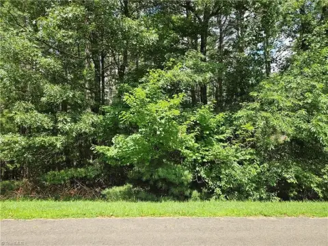 Wooded Lot in Holly Run