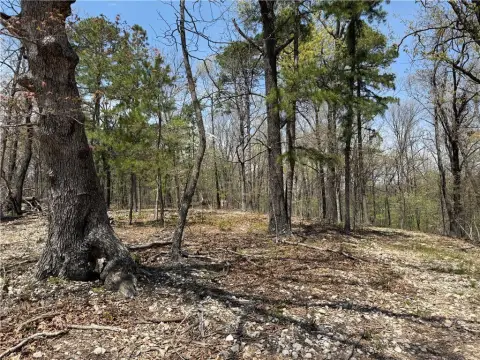 Eureka Springs Homestead Retreat Land