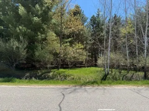 Wooded Vacant Land in Gladwin