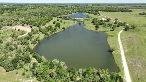 979 Acres Ranch in Ledbetter, TX