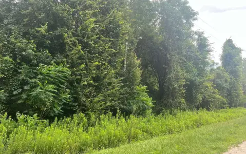 Wooded Acreage with Lake Access