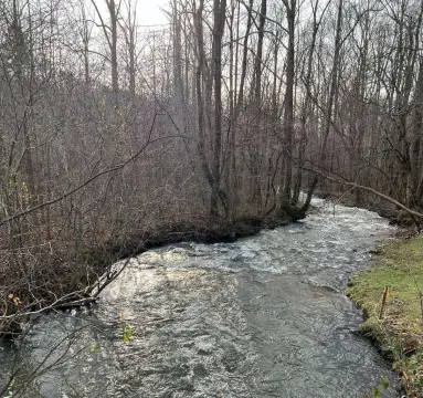 Creekfront Mountain Land For Sale