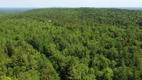 Wooded Recreational Hunting Land