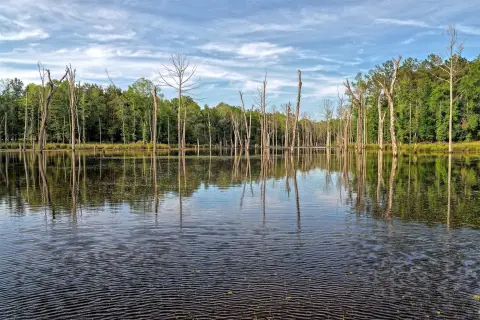 High-Fenced Ranch with Stocked Lake