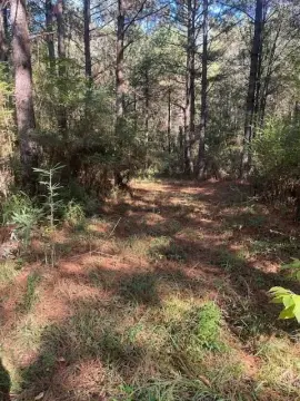 Land in West Jones District