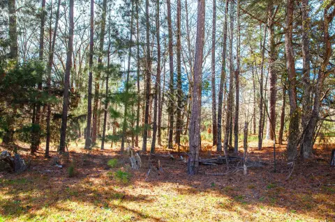 Estate Homesite with Pond Access