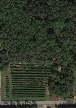 West Olive 3-Acre Parcel