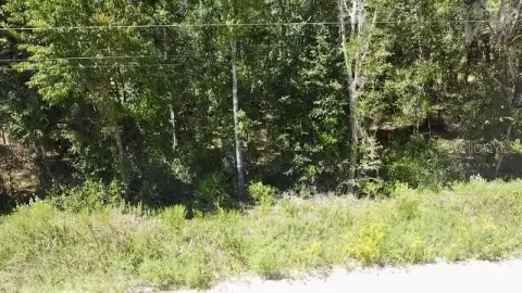 Residential Lot in Williston, Florida