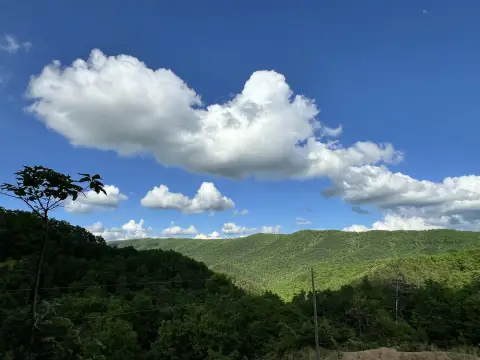 Wooded Recreational Land