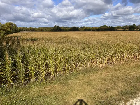 33.6 Acres in Bristol, WI