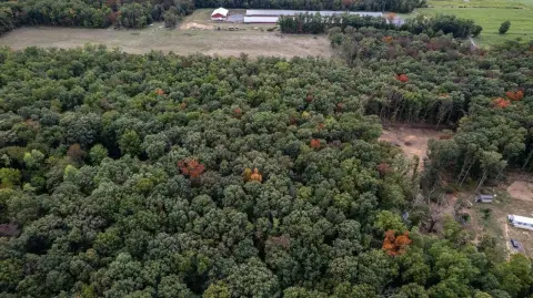 5 Acres Prime Building Land