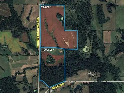 Agricultural Land Auction Opportunity