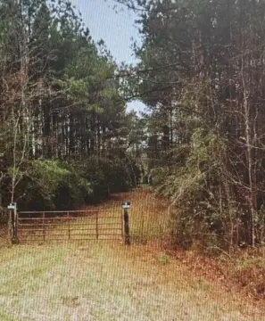 Hunting Land with Creek