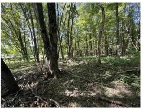 Vacant Residential Land Brownhelm