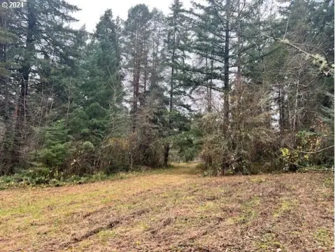 Residential Land in Wooded Setting