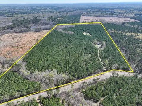 Timber Farmland Tract